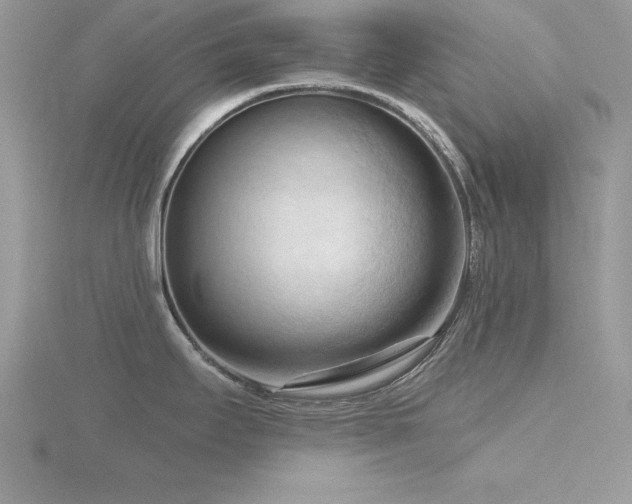 X0000116511295200912091441