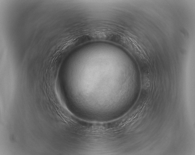 X0000116511297200912091440