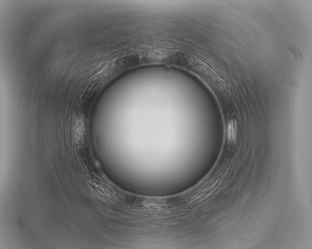 X0000116511299200912091440