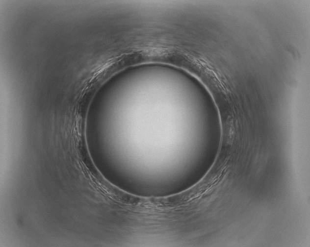 X0000116511301200912091440