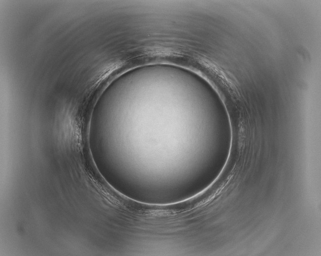 X0000116511305200912091440