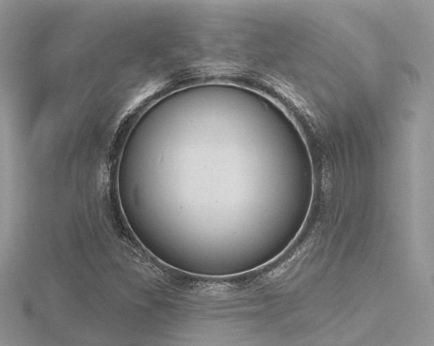 X0000116511309200912091440