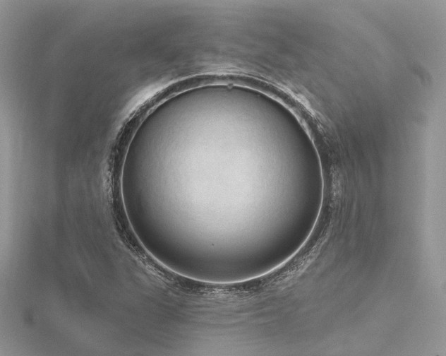 X0000116511311200912091440