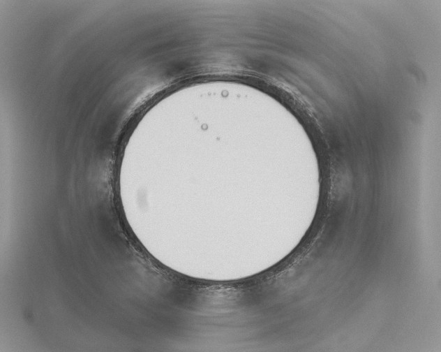 X0000116511314200912091440