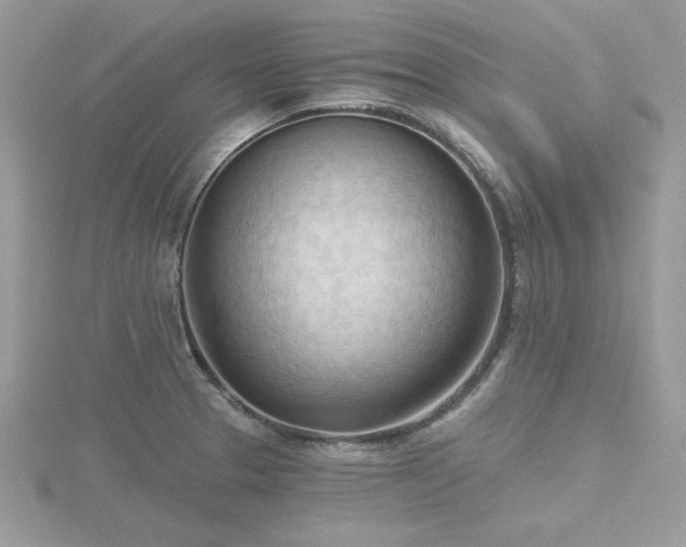 X0000116511329200912091440