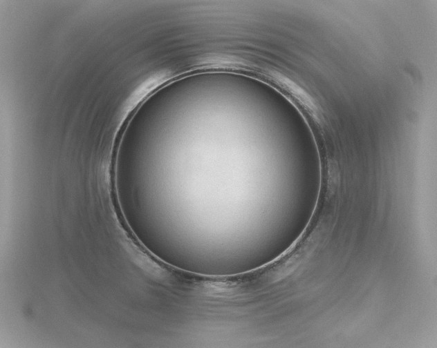 X0000116511330200912091440