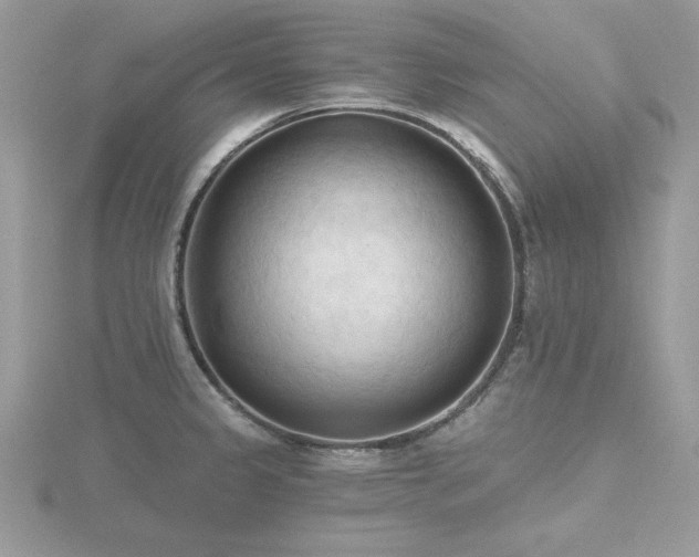X0000116511333200912091440
