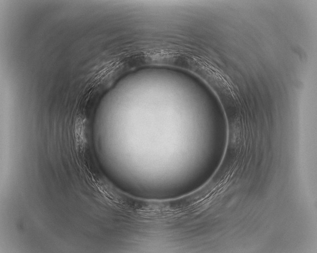 X0000116511346200912091440