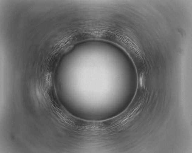 X0000116511347200912091440