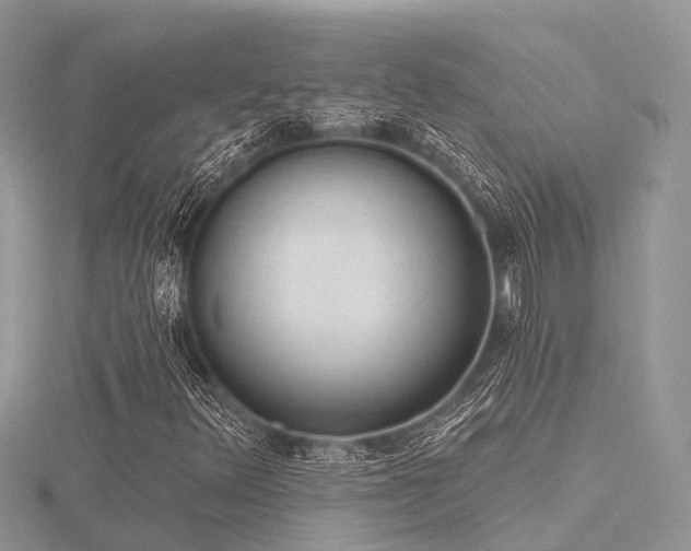 X0000116511348200912091440