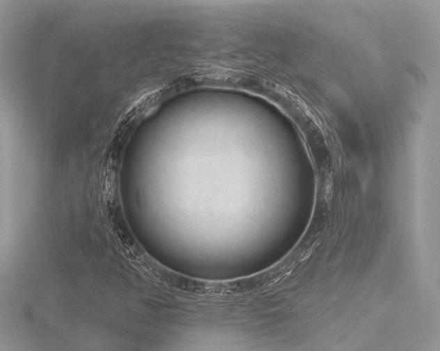 X0000116511350200912091440
