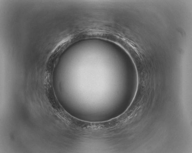 X0000116511351200912091440