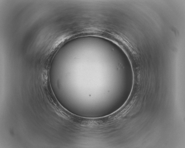 X0000116511355200912091440