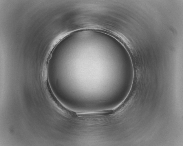 X0000116511371200912091440