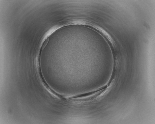 X0000116511373200912091440