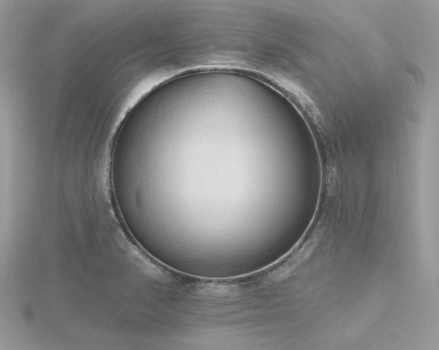 X0000116511374200912091440