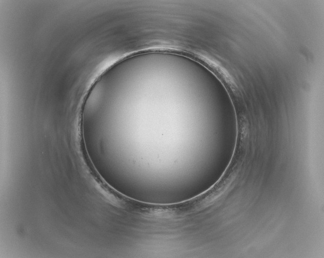 X0000116511375200912091440