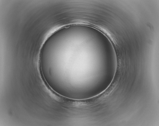 X0000116511379200912091439