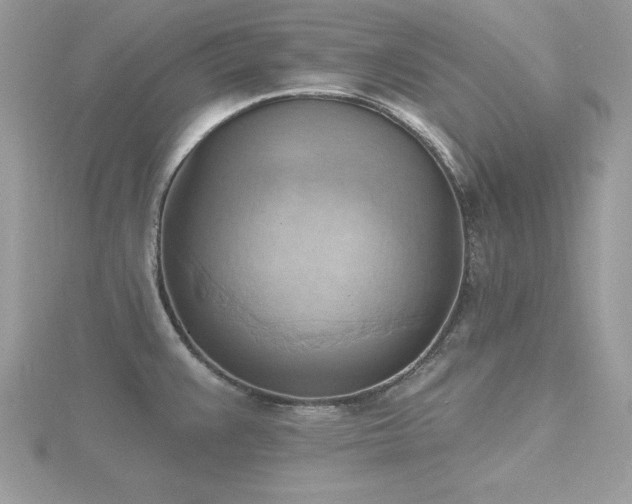 X0000116511383200912091439