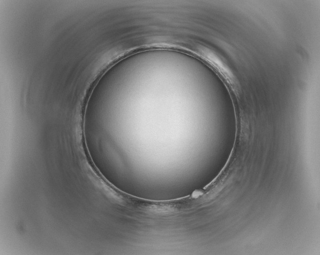 X0000116511384200912091439
