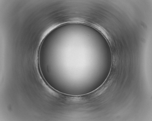 X0000116511387200912091439