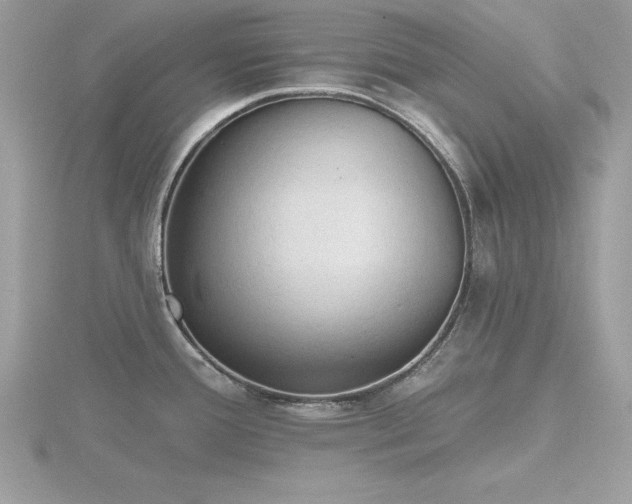 X0000116511388200912091439