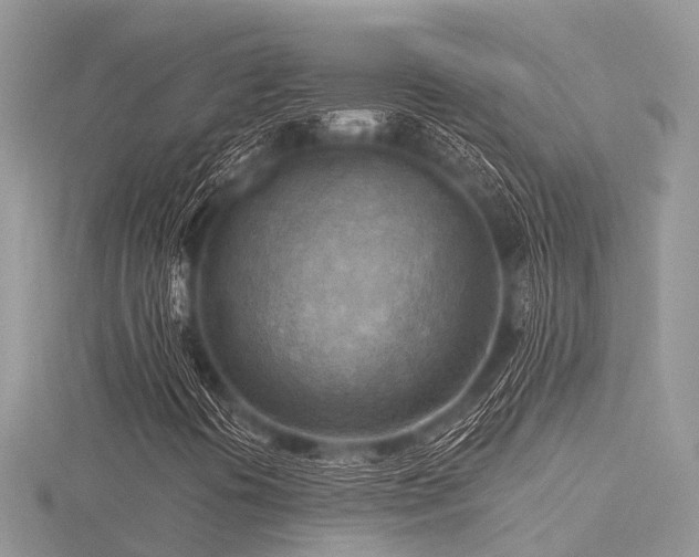 X0000116511394200912091439