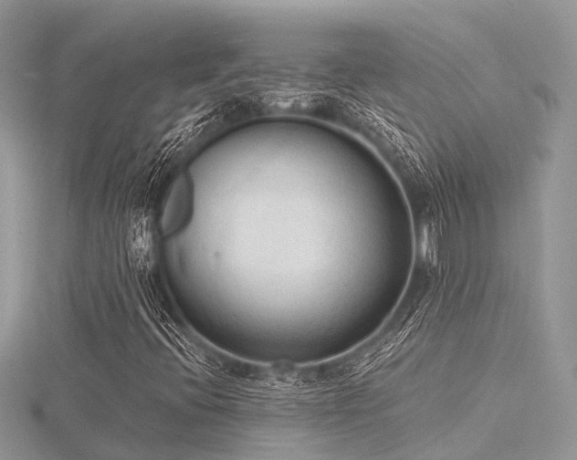 X0000116511396200912091439