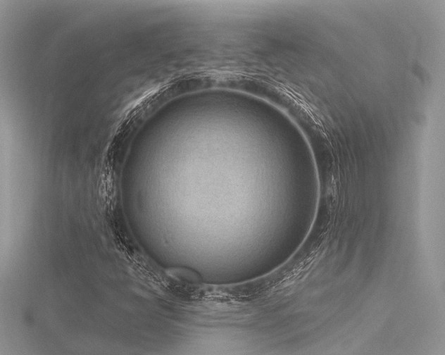 X0000116511398200912091439