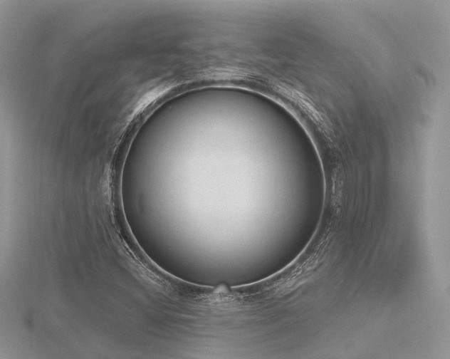 X0000116511404200912091439