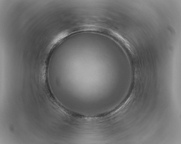 X0000116511411200912091439