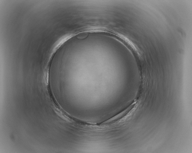 X0000116511413200912091439