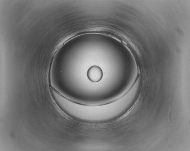 X0000116511417200912091439