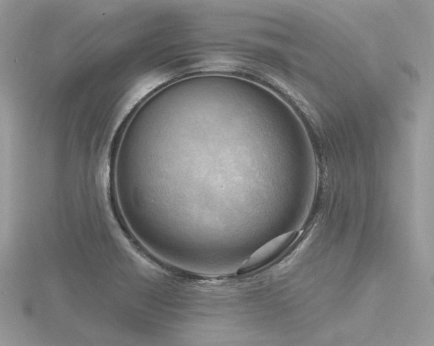 X0000116511418200912091439