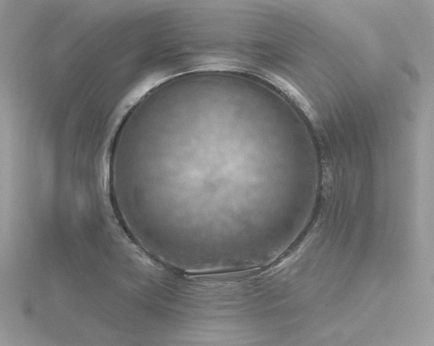X0000116511419200912091439