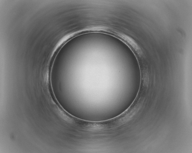 X0000116511420200912091439