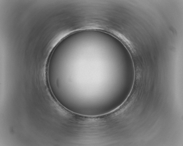 X0000116511423200912091439