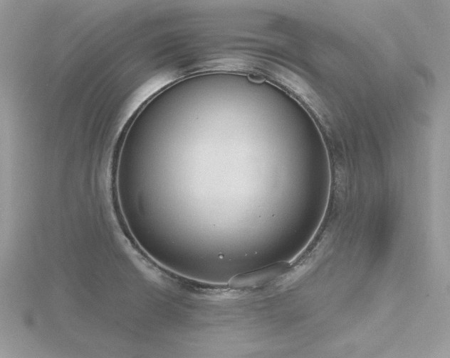 X0000116511426200912091439