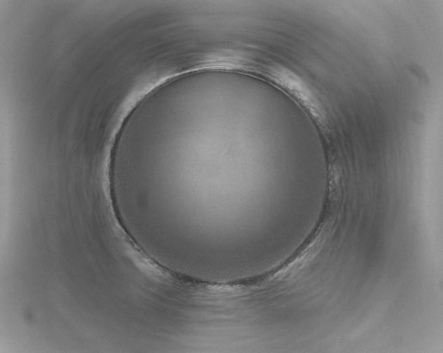 X0000116511427200912091439