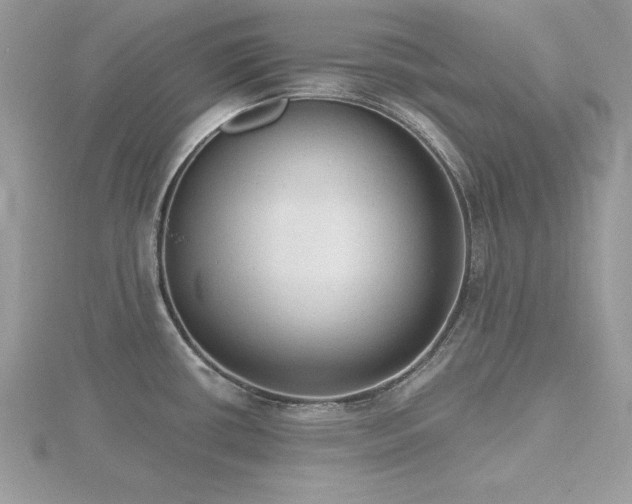 X0000116511434200912091439