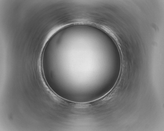 X0000116511440200912091439