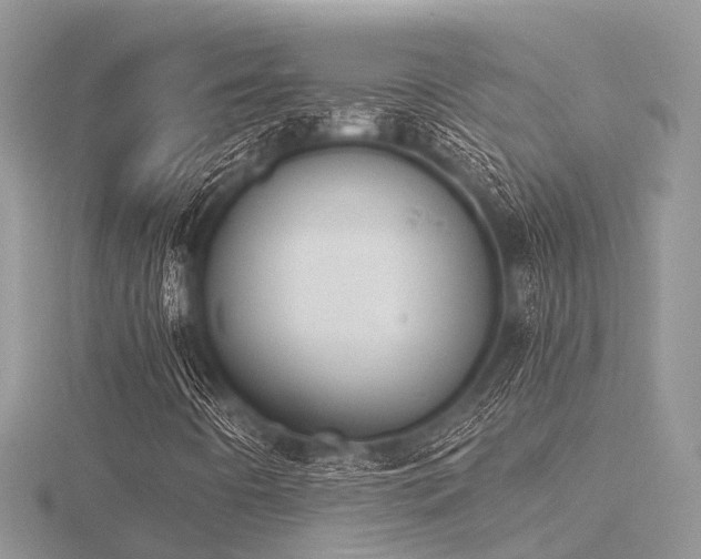 X0000116511442200912091439