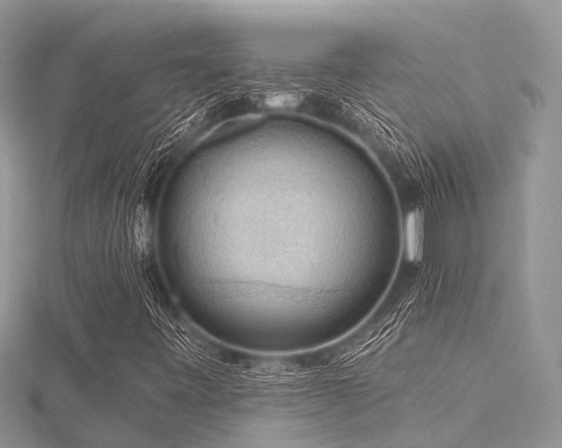 X0000116511443200912091439