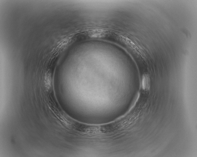 X0000116511444200912091439