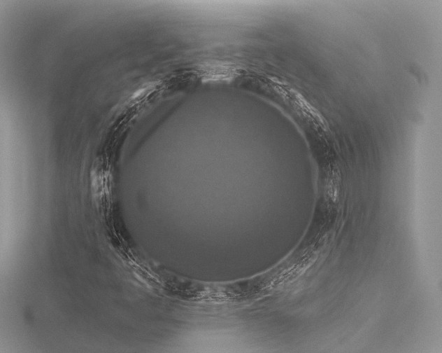 X0000116511445200912091439