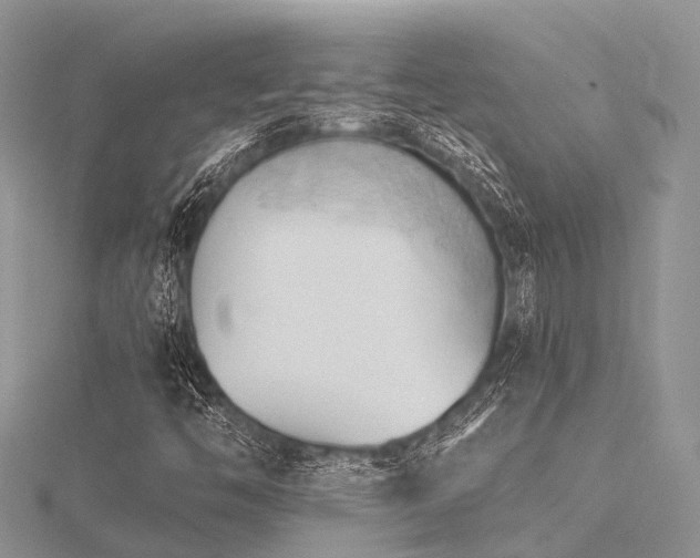 X0000116511446200912091439