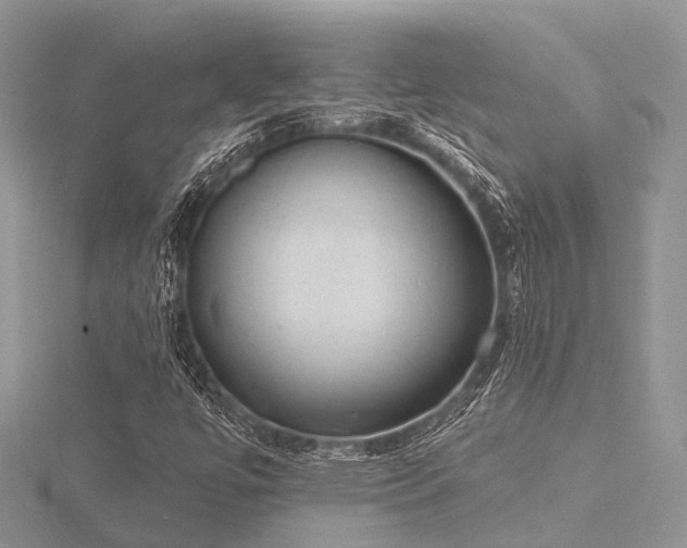 X0000116511447200912091439