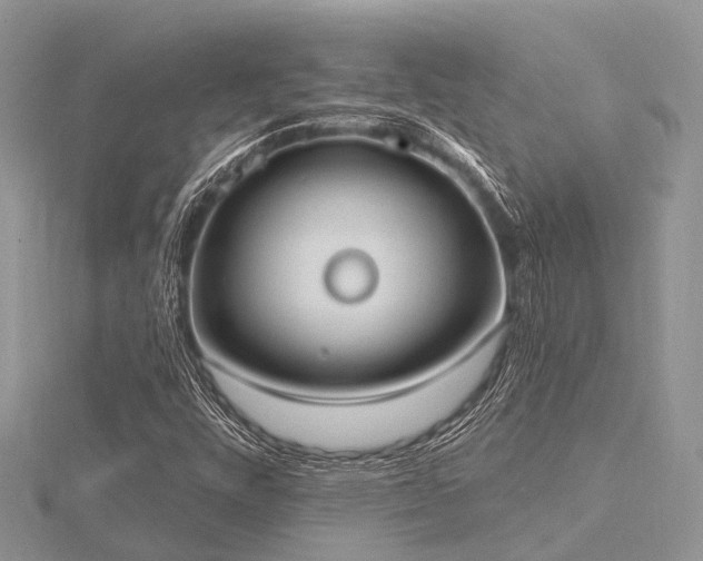 X0000116511448200912091439