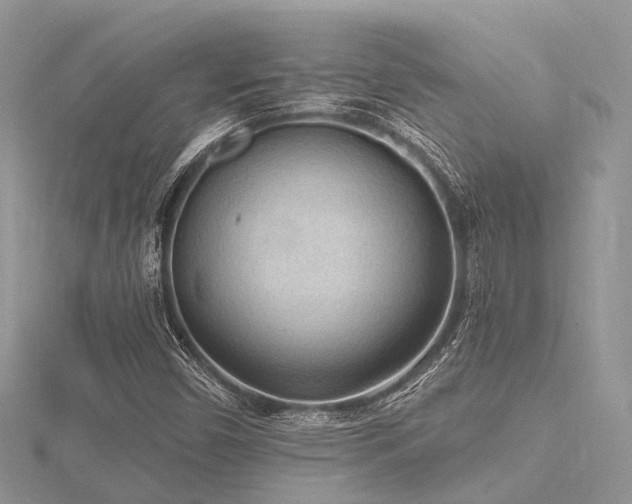 X0000116511450200912091439