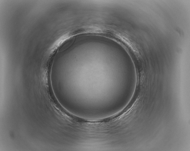 X0000116511455200912091438